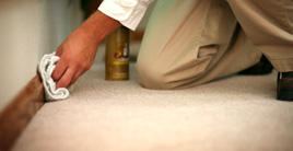 Houston Carpet & Rug Cleaning company