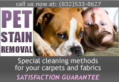 Houston pet stain removal special treatment